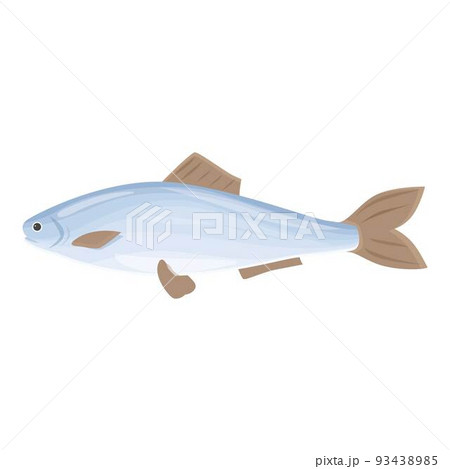 Sardine icon cartoon vector. Sea herring. Baltic fish 93438985