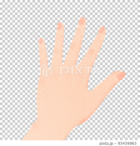 Illustration of back of hand - Stock Illustration [93439963] - PIXTA