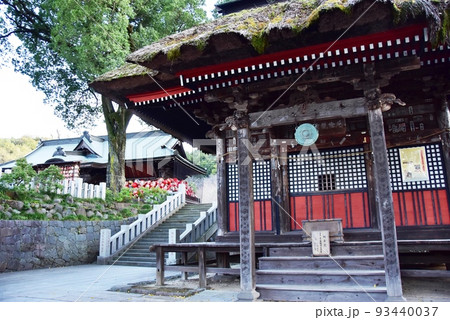 群馬県高崎市 縁起達磨発祥の地の達磨寺観音堂と本堂 群馬県高崎市 縁起達磨発祥の地の達磨寺観音堂と本堂 93440037