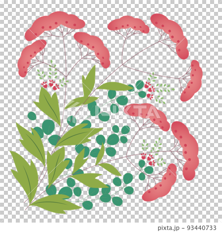 紫藤袴和灌木三葉草，秋草 93440733