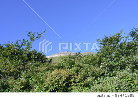 栃木県那須山登山道から茶臼岳を見た風景 栃木県那須山登山道から茶臼岳を見た風景 93441989