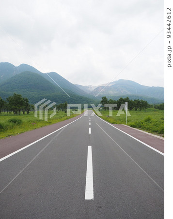 長者原のドライブ道 93442612