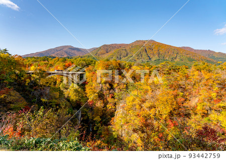 【宮城県】紅葉の鳴子峡(10月) 【宮城県】紅葉の鳴子峡(10月) 93442759