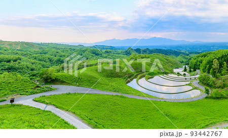 大自然の美しい草原景観との絶妙な調和 「扇棚田」背景は阿蘇山・くじゅう連山・阿蘇の山並み(産山村) 93442767