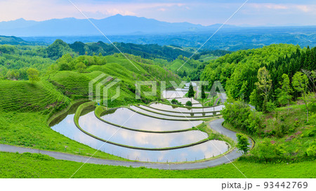 大自然の美しい草原景観との絶妙な調和 「扇棚田」背景は阿蘇山・くじゅう連山・阿蘇の山並み(産山村) 93442769