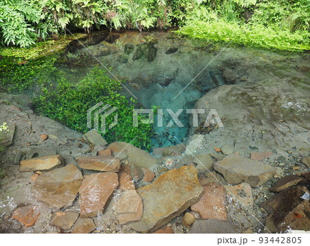 青く澄む男池湧水 青く澄む男池湧水 93442805