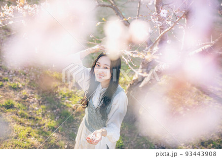 桜咲く樹の下で 93443908