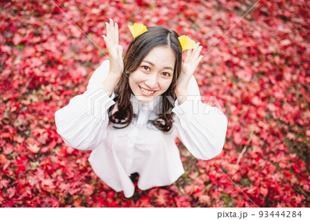 真っ赤な紅葉の絨毯 真っ赤な紅葉の絨毯 93444284