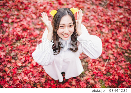 真っ赤な紅葉の絨毯 真っ赤な紅葉の絨毯 93444285