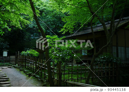 横浜・新緑の三渓園の春草廬 93445138