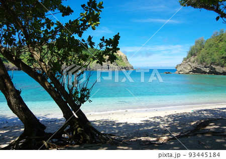 父島／コペペ海岸（東京都小笠原村） 93445184