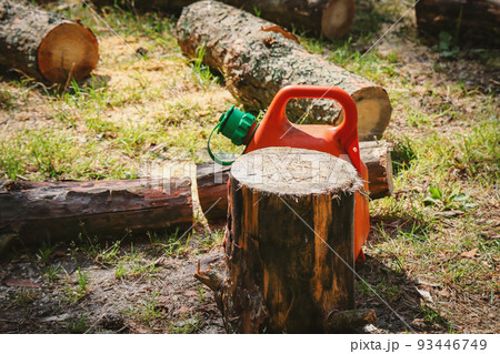 Pine tree logs with bark lie in a forest after being cut by chainsaw with canister of fuel behing a stump Pine tree logs with bark lie in a forest after being cut by chainsaw with canister of fuel behing a stump 93446749