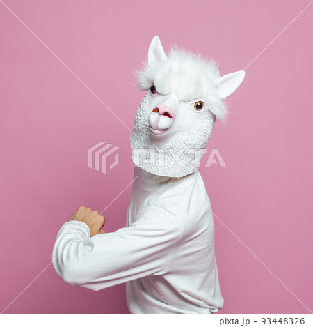 Man with white lama head on bright pink studio wall background Man with white lama head on bright pink studio wall background 93448326