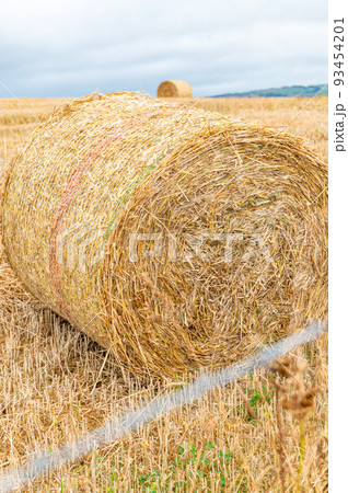 Hay rolls in the field Hay rolls in the field 93454201