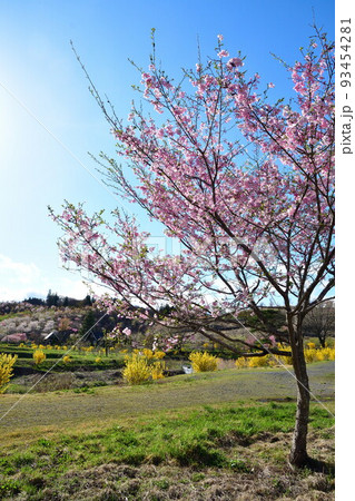 那須白河フォレストスプリングス花野華（福島県） 93454281