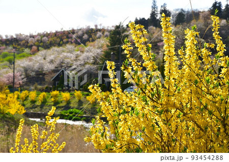 那須白河フォレストスプリングス花野華(福島県) 那須白河フォレストスプリングス花野華(福島県) 93454288
