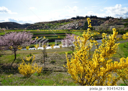那須白河フォレストスプリングス花野華(福島県) 那須白河フォレストスプリングス花野華(福島県) 93454291