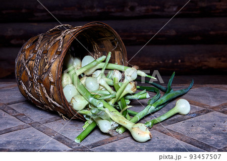 Green onions with bulbs were poured out of wicker basket. 93457507