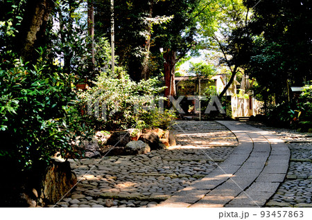 代々木八幡宮境内の風景 代々木八幡宮境内の風景 93457863