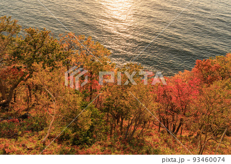 夕陽の名所プユニ岬「秋の北海道」 93460074