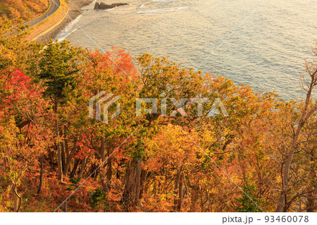 夕陽の名所プユニ岬「秋の北海道」 夕陽の名所プユニ岬「秋の北海道」 93460078