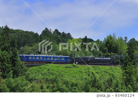 急勾配に挑むC61-20号機牽引のSLぐんまよこかわ号_2022/7/24撮影 93460124