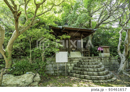 安芸灘とびしま海道　大崎下島　御手洗　満舟寺　広島県呉市 93461657