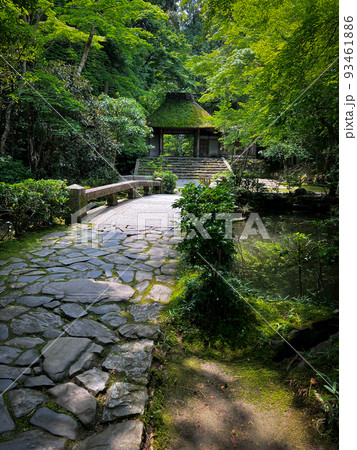 京都・京都市左京区 法然院 山門・参道 京都・京都市左京区 法然院 山門・参道 93461886