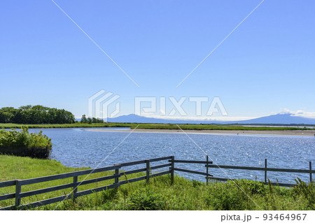 北海道　濤沸湖　初夏 93464967