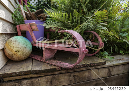 fern tree outdoor, handmade conception, in sunny backyard shot at shallow depth of field fern tree outdoor, handmade conception, in sunny backyard shot at shallow depth of field 93465229