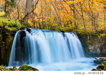 青森県十和田市 紅葉の奥入瀬渓流 ~銚子大滝~ 青森県十和田市 紅葉の奥入瀬渓流 ~銚子大滝~ 93465628