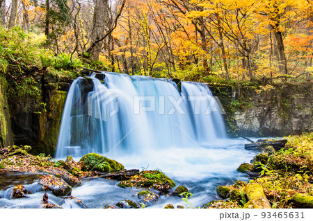 青森県十和田市 紅葉の奥入瀬渓流 ~銚子大滝~ 青森県十和田市 紅葉の奥入瀬渓流 ~銚子大滝~ 93465631