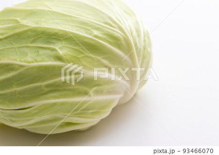 新鮮なキャベツ 新鮮なキャベツ 93466070