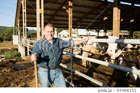 Confident man owner of dairy farm Confident man owner of dairy farm 93466153