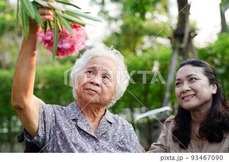 Asian elderly woman enjoy in flower garden with caregiver in park. 93467090