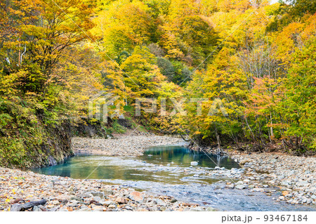 岩手県雫石町 紅葉の葛根田渓谷 岩手県雫石町 紅葉の葛根田渓谷 93467184