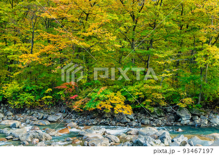 岩手県雫石町 紅葉の葛根田渓谷 93467197