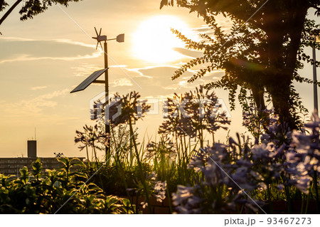 夕暮れの小型風車発電機 夕暮れの小型風車発電機 93467273
