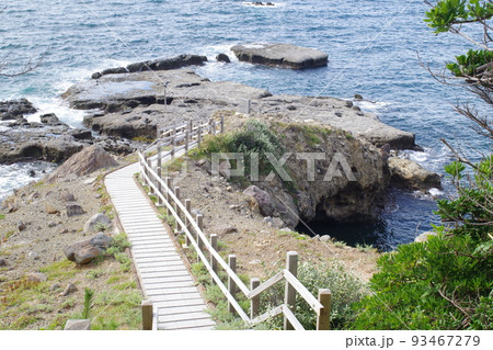 国の天然記念物珪化木がある海岸の景色 国の天然記念物珪化木がある海岸の景色 93467279