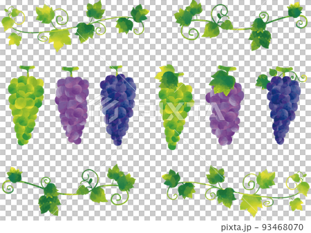 水彩風　ふどうセット 93468070