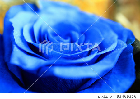 プリザーブドフラワー　バラ 93469356