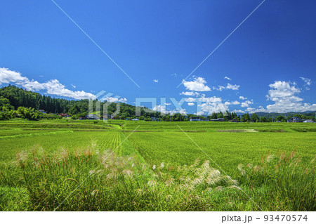 晩夏の写真素材 [93470574] - PIXTA