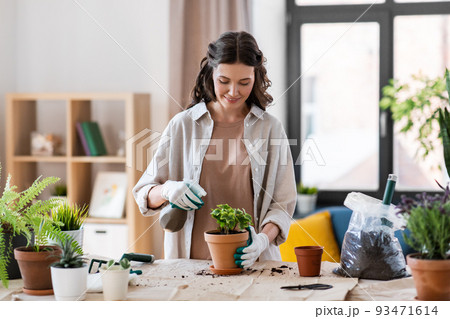 happy woman planting pot flowers at home 93471614