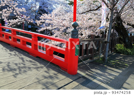 桜満開の水門川散策・3（岐阜県大垣市水門川） 93474258