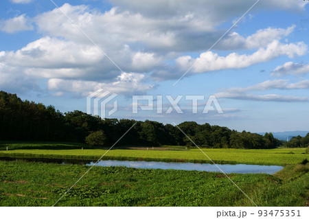 写真 水穂の国 田んぼのある風景 集中豪雨のあとさき 田園風景 みちのくの田園風景 写真 水穂の国 田んぼのある風景 集中豪雨のあとさき 田園風景 みちのくの田園風景 93475351