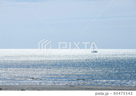 西浜海岸 93475543