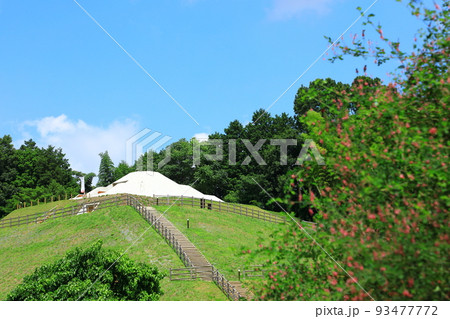 史跡　牽牛子塚古墳と萩の花 93477772