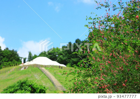 史跡 牽牛子塚古墳と萩の花 史跡 牽牛子塚古墳と萩の花 93477777