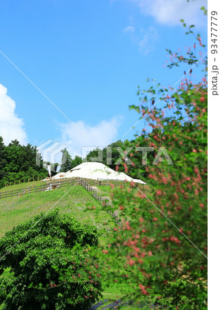 史跡　牽牛子塚古墳と萩の花 93477779