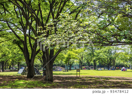 緑豊かな新小岩公園の風景 93478412